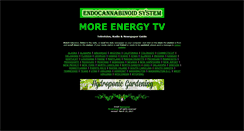 Desktop Screenshot of moreenergy.tv